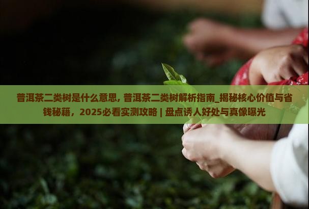 普洱茶二类树是什么意思