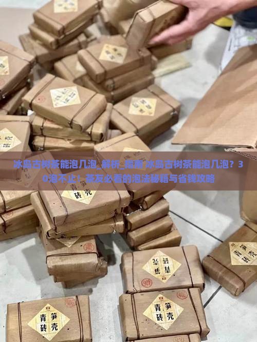 冰岛古树茶能泡几泡