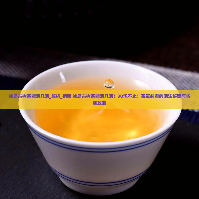 冰岛古树茶能泡几泡