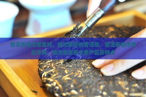 普洱茶临沧哪里好