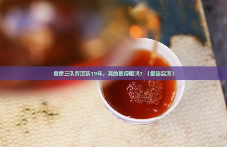 章家三队普洱茶19年