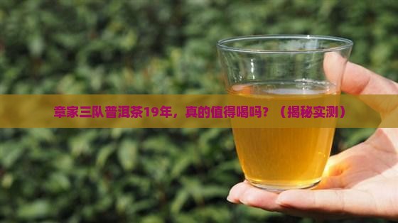 章家三队普洱茶19年