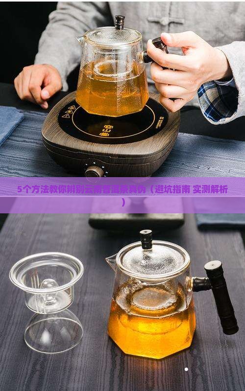 云南普洱茶真伪