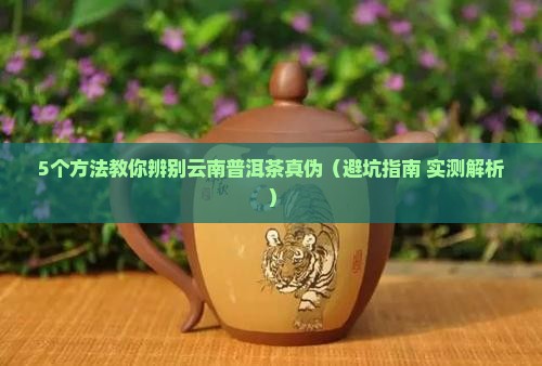 云南普洱茶真伪