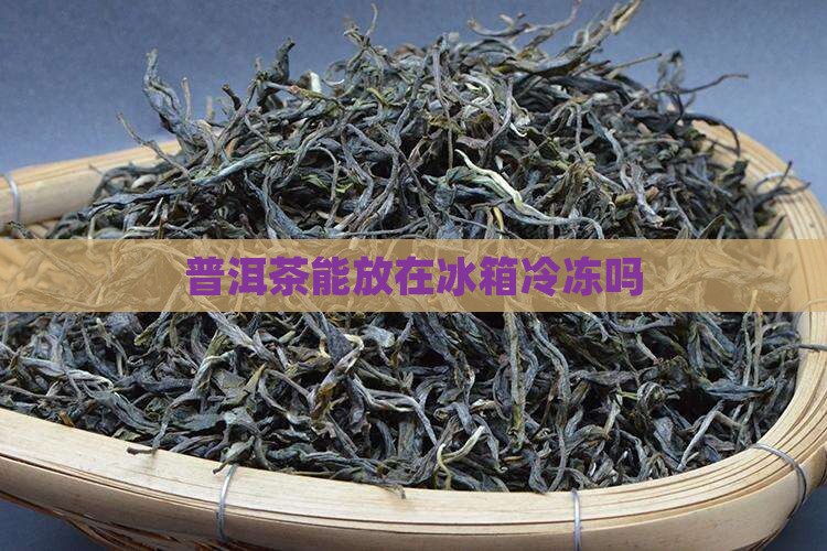 普洱茶能放在冰箱冷冻吗