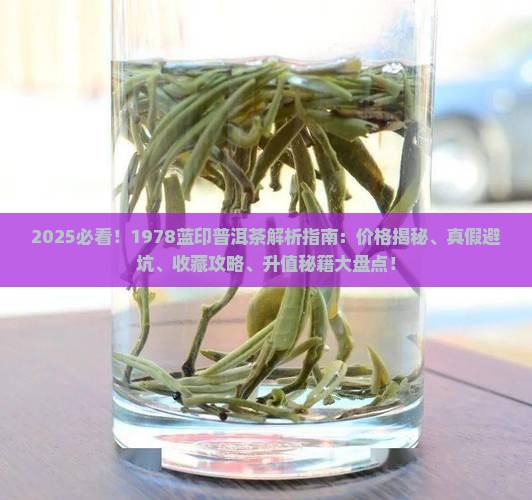 1978蓝印普洱茶