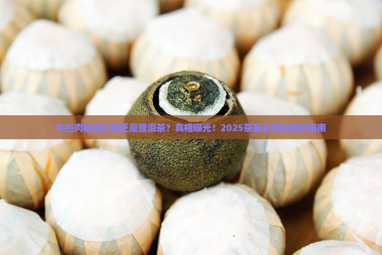 牛栏肉桂是红茶还是普洱茶