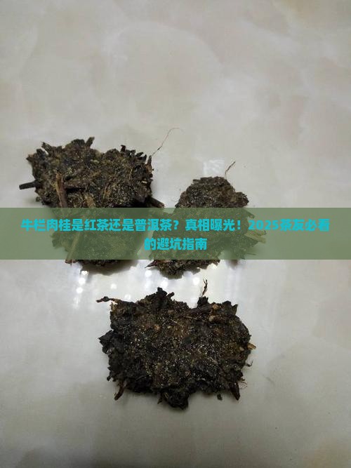 牛栏肉桂是红茶还是普洱茶