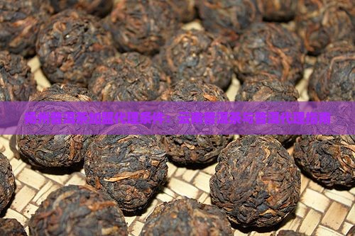 扬州熟普洱茶渠道代理条件