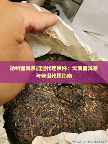 扬州熟普洱茶渠道代理条件