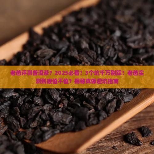 老爸评测普洱茶