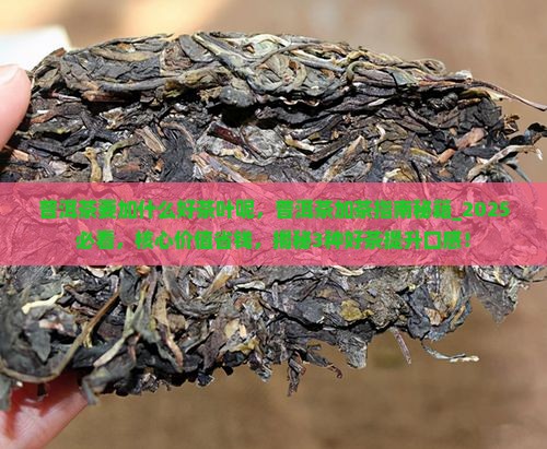 普洱茶要加什么好茶叶呢