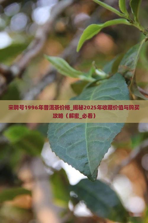 宋聘号1996年普洱茶价格