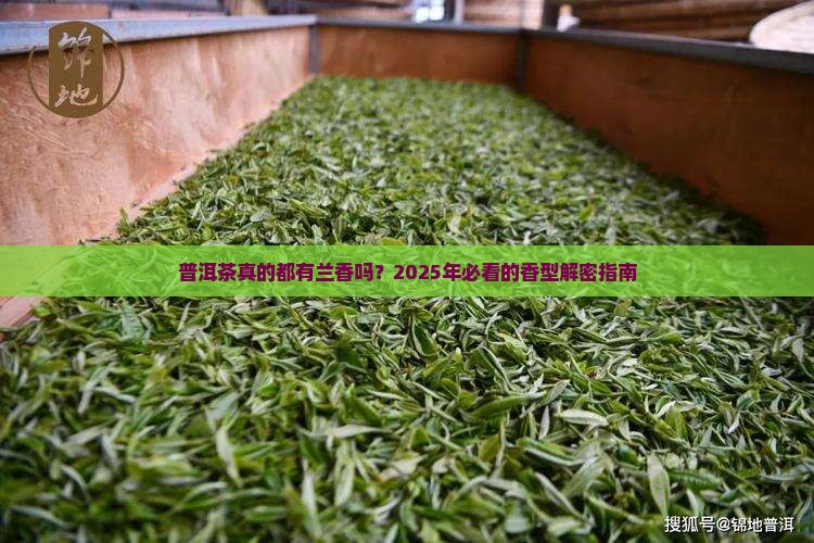 普洱茶都有兰香吗