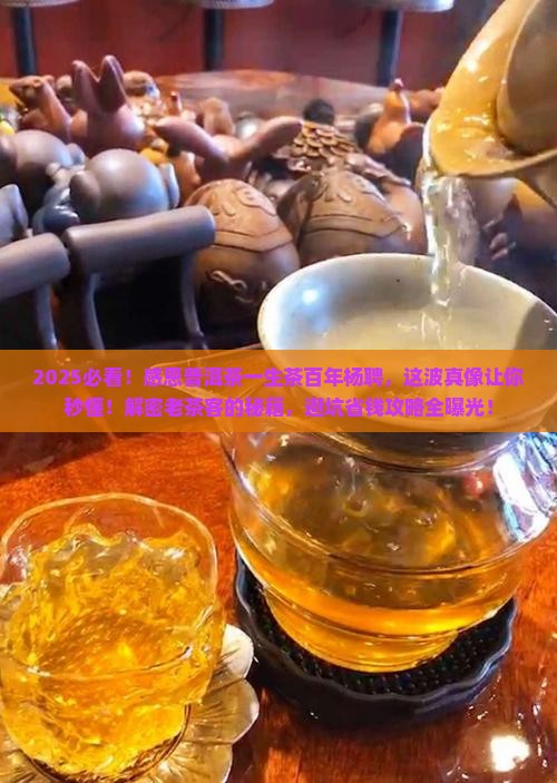 感恩普洱茶一生茶百年杨聘