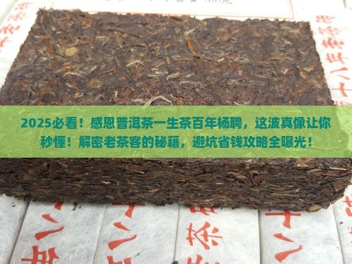 感恩普洱茶一生茶百年杨聘