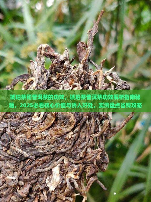 琥珀茶和普洱茶的功效