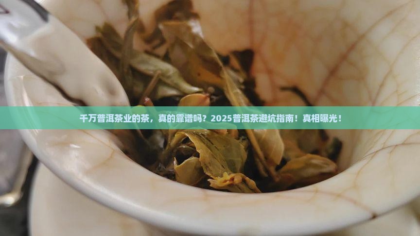千万普洱茶业的茶