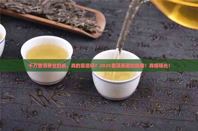千万普洱茶业的茶