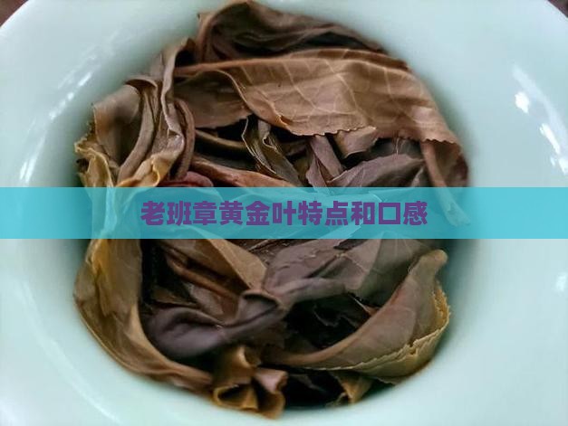 老班章黄金叶特点和口感