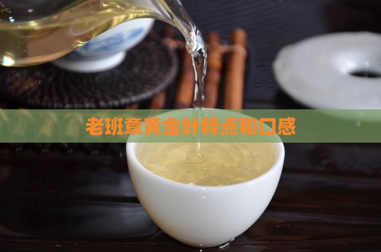 老班章黄金叶特点和口感