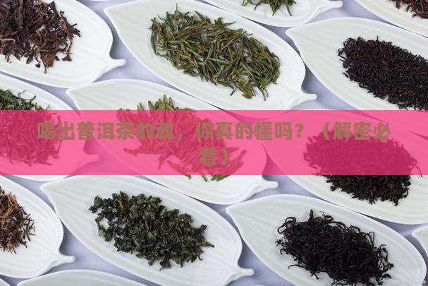 对普洱茶的感悟