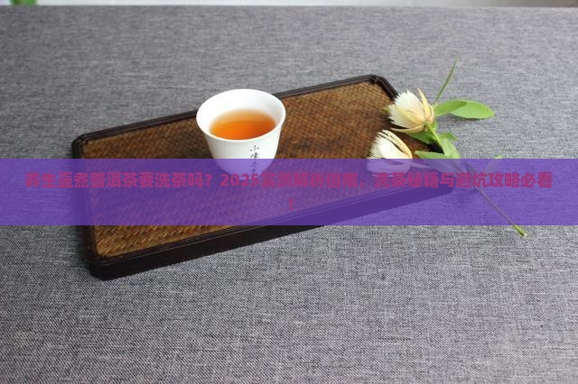 养生壶煮普洱茶要洗茶吗