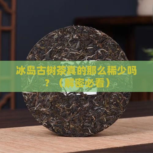 冰岛古树茶稀少吗