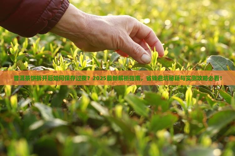 普洱茶饼拆开如何保存过夜