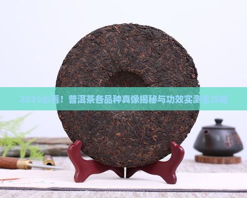 普洱茶各品种的特点和功效