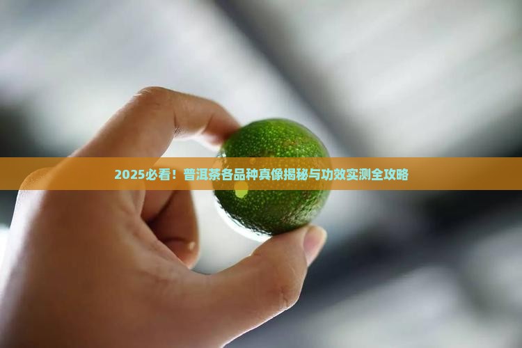 普洱茶各品种的特点和功效