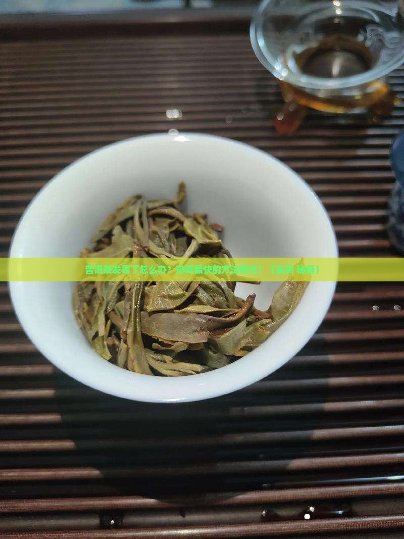 普洱茶怎么排霉最快