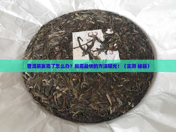 普洱茶怎么排霉最快