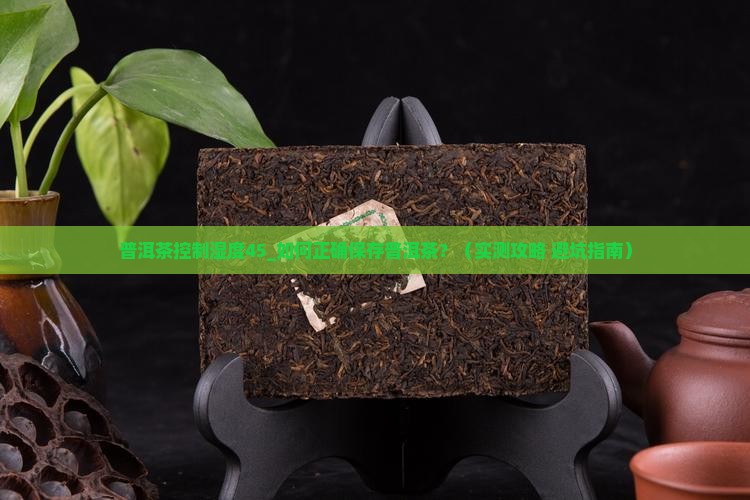普洱茶控制湿度45