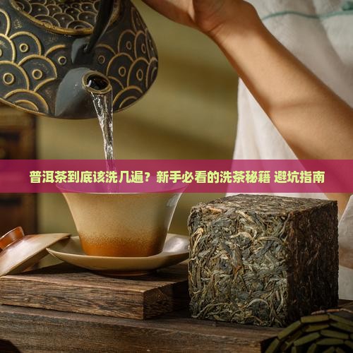 普洱茶应该洗几次泡茶喝