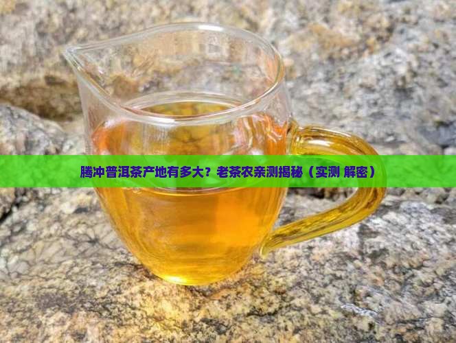 腾冲普洱茶生产地有多大