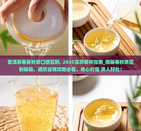 普洱茶春茶秋茶口感区别