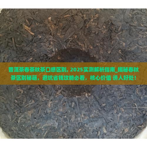 普洱茶春茶秋茶口感区别