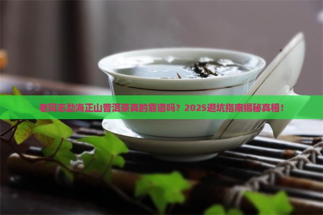 老同志勐海正山普洱茶