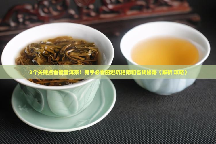 普洱茶分类及品质特征