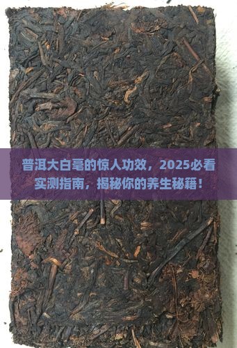 普洱大白毫的功效和作用