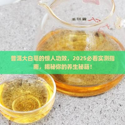 普洱大白毫的功效和作用