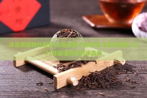 冰岛茶哪种比较好