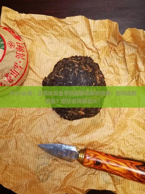 正宗冰岛金芽熟茶散茶