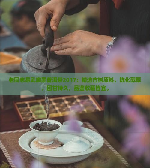 老同志易武麻黑普洱茶2017