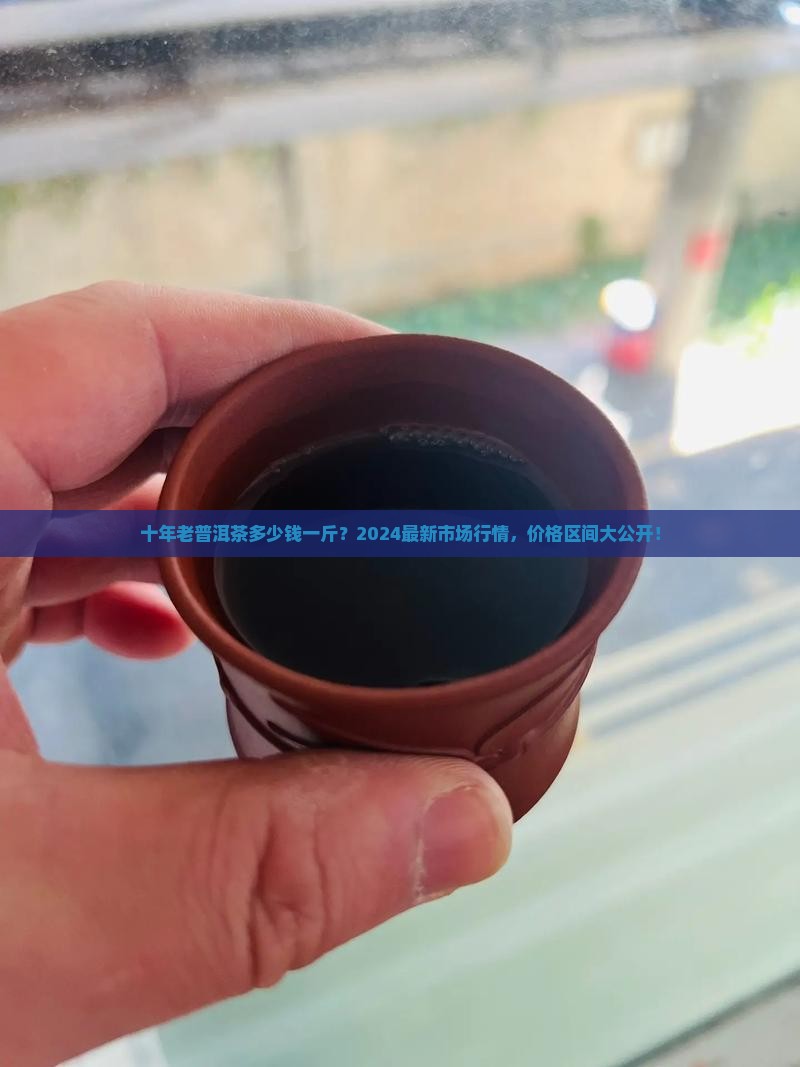 十年老普洱茶多少钱一斤