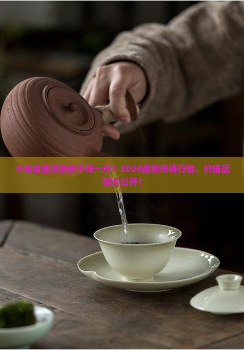 十年老普洱茶多少钱一斤
