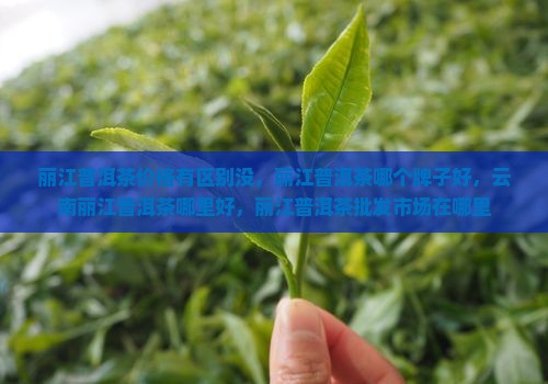 丽江普洱茶价格有区别没