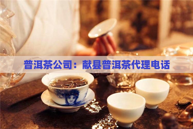 献县普洱茶代理公司电话