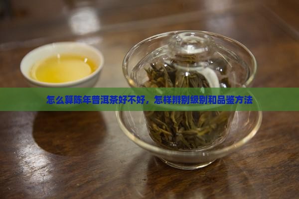 怎么算陈年普洱茶好不好